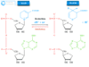 Nicotinamide Adenine Dinucleotide Nicotinamide adenine dinucleotide NAD and NADH structure, definition, uses in metabolism and oxidized and reduced forms or supplements