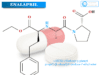 Enalapril Enalapril medication uses in blood pressure, brand names, dosage, side effects of enalapril tablets