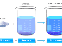 Solvent Solvent definition and types in chemistry, examples of common solvents solute and chemical solution