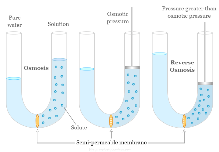 Osmosis and reverse osmosis (RO) systems diagram, process and uses for purification of water