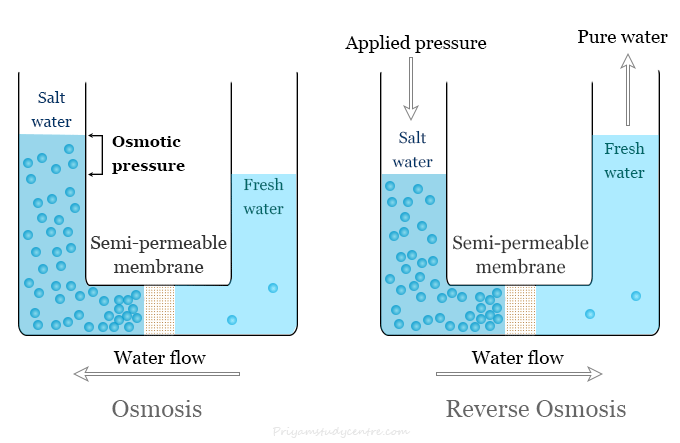 Reverse osmosis (RO) system diagram in water purification process by a semi-permeable membrane with definition, uses and differences with osmosis