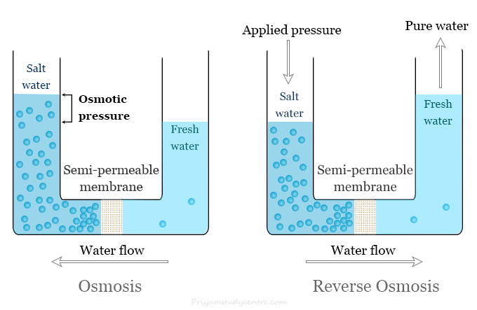 Reverse Osmosis (RO) - Definition, Working Principle, Process, Experiment,  Advantages, Disadvantages of Reverse Osmosis.