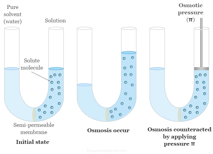 Osmotic pressure diagram, measurement and formula for the solution and osmosis in chemistry or biology