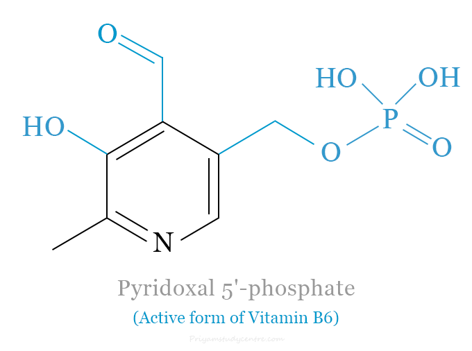 Pyridoxal 5'-phosphate Active form of Vitamin B6 with Uses, Supplements, Functions and Benefits