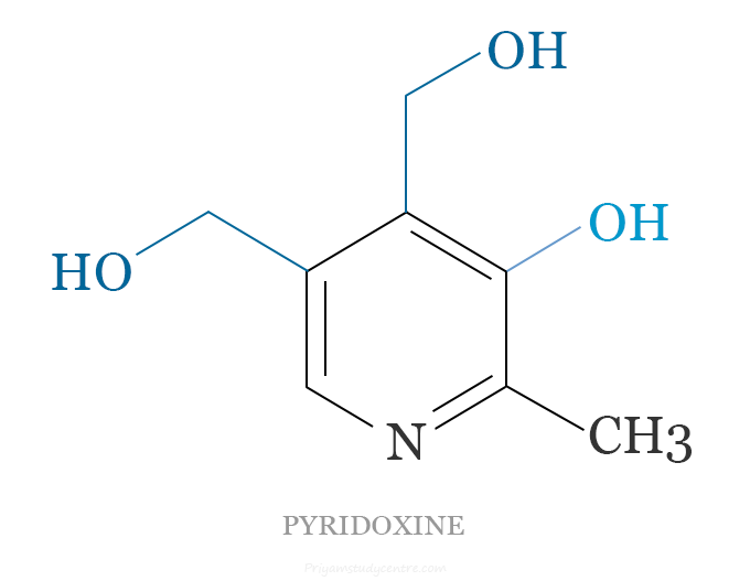 Pyridoxine is a form of vitamin B6 supplement, uses, side effects