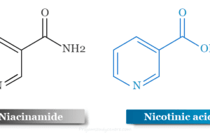 Niacinamide Niacinamide or Nicotinamide (NAM) and Nicotinic acid or Niacin (vitamin B3) supplements and serum for Skin with Uses, Benifits