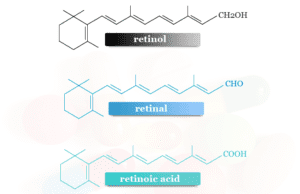 Vitamin A Vitamin A (retinol, retinal, retinoic acid and beta carotene) with uses, benefits, sources, supplements, deficiency of Vitamin A