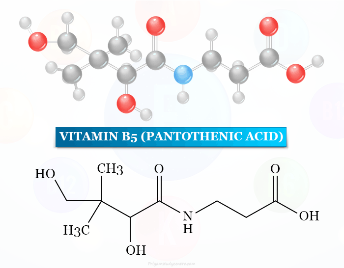 Vitamin B5 - Pantothenic Acid - Benefits, Supplements
