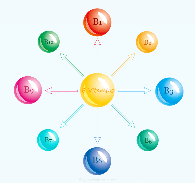 B vitamins list, sources, functions of B complex vitamin such as thiamine, riboflavin, B3, B5, B7, folic acid, and B12 with supplements