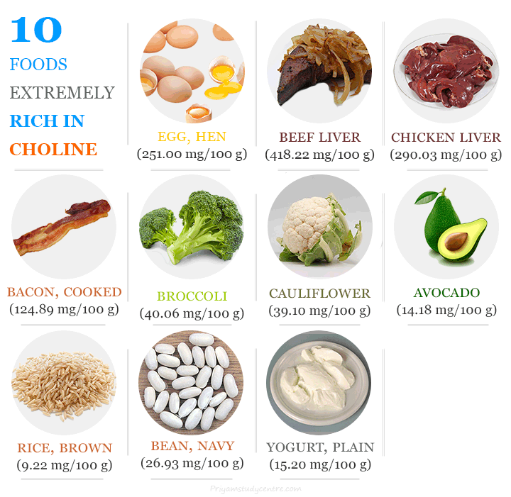Choline sources in the 10 best animal and plant foods supplements with benefits and deficiency
