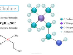 Choline Choline supplement with B-complex vitamin, food sources, functions, and benefits in human health