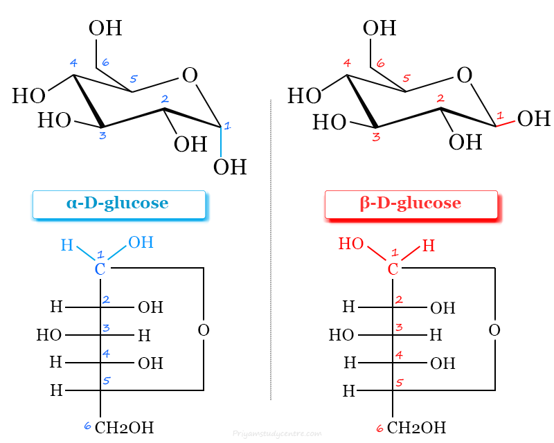 Carbohydrates examples monosaccharides alpha (α) and beta (β) anomers of glucose with uses, benefits, types