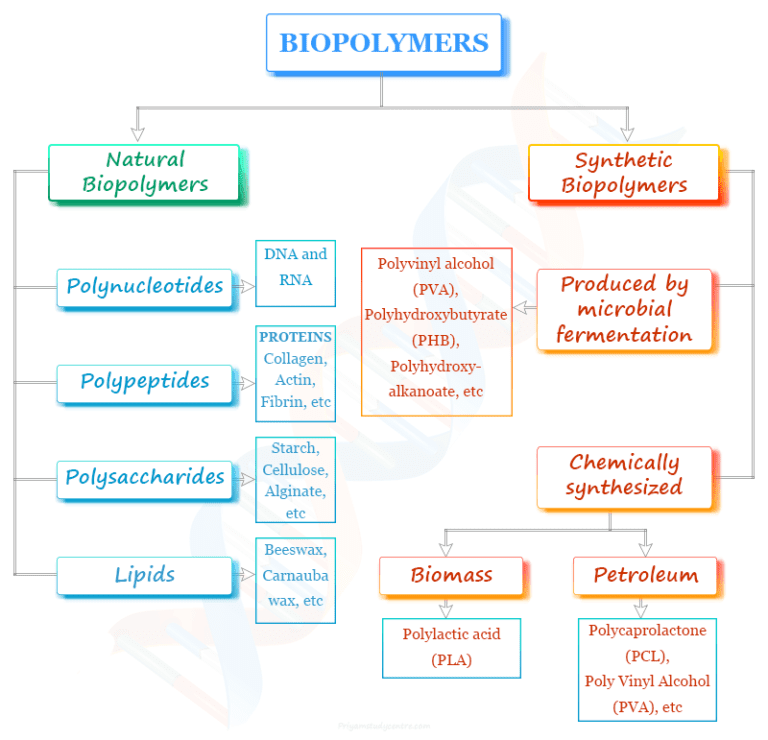 Biopolymers Definition, Types, Examples, Uses