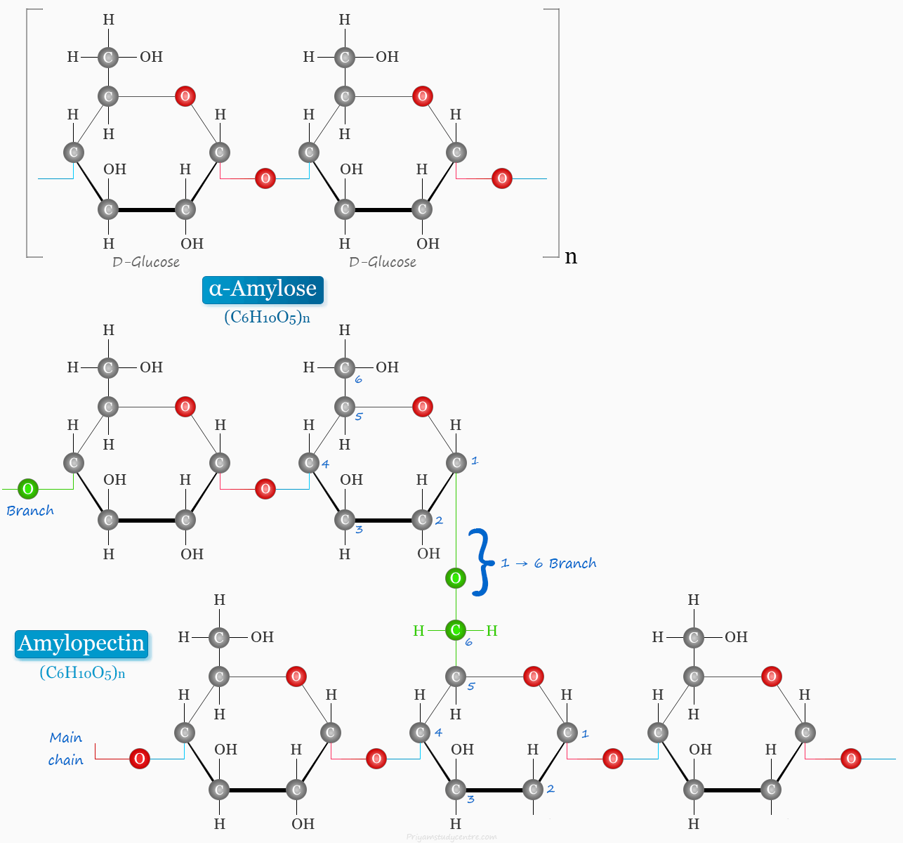 Starch formula, definition, healthy use, and structure of amylose and amylopectin