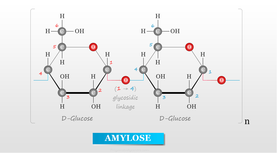 Amylose type of starch formula and structure