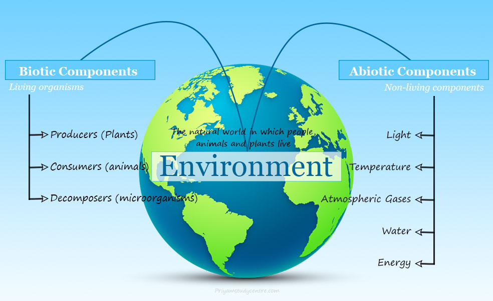 Environment definition, topics, and biotic and abiotic components of nature