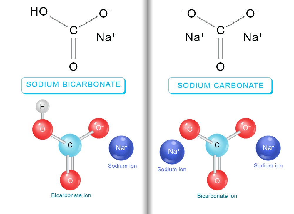 Sodium carbonate washing soda vs baking soda sodium bicarbonate