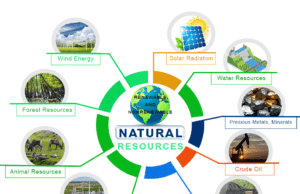 Natural Resources Natural resources management, conservation, examples of renewable and nonrenewable resource